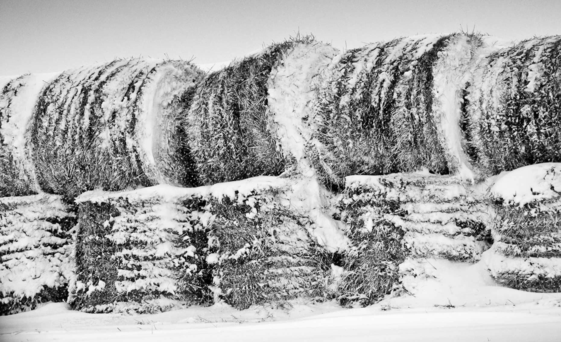 Hay-Bales_Cowboy-Way-_IPAD.jpg