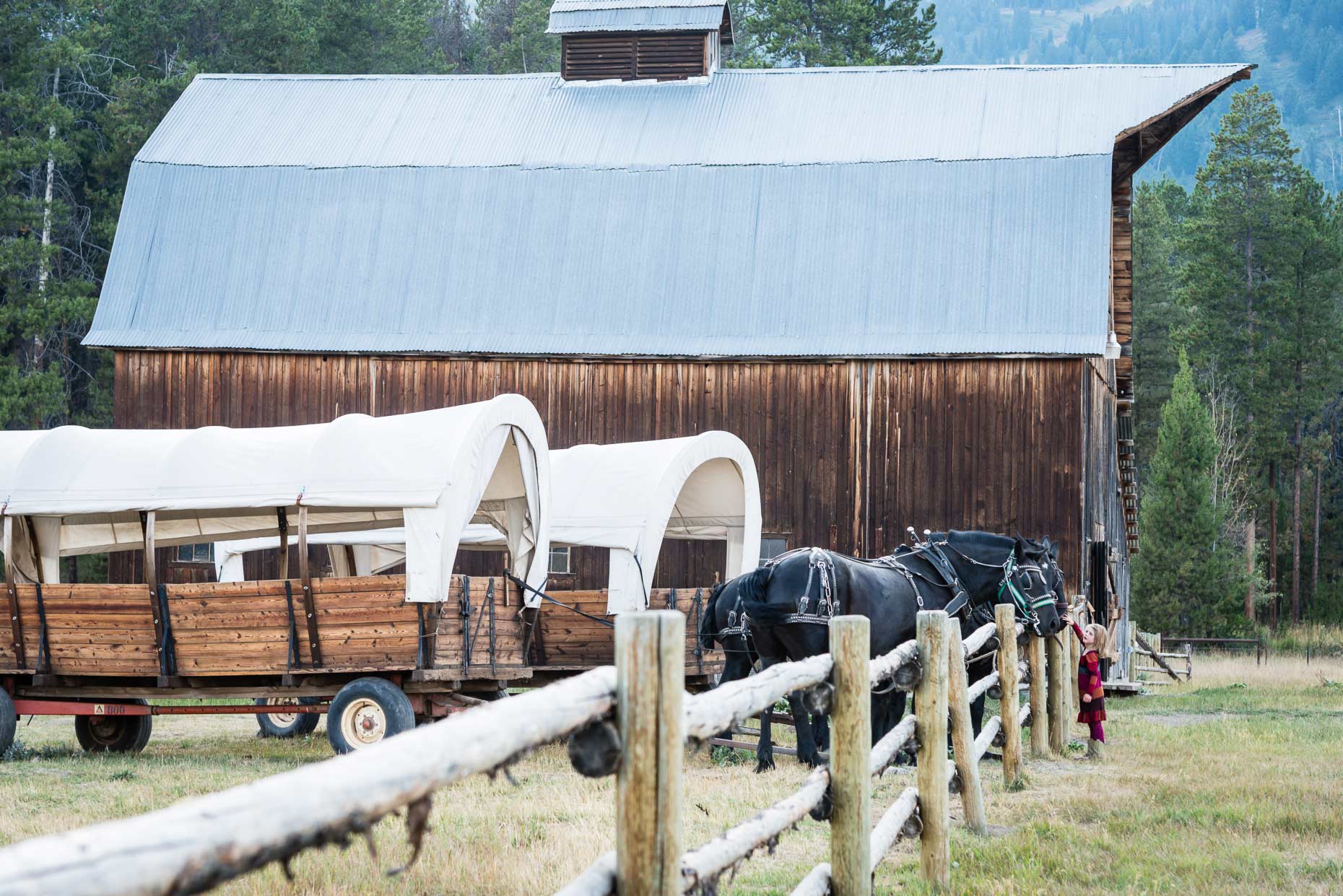 Teton-Village-6193-_PORTFOLIO.jpg