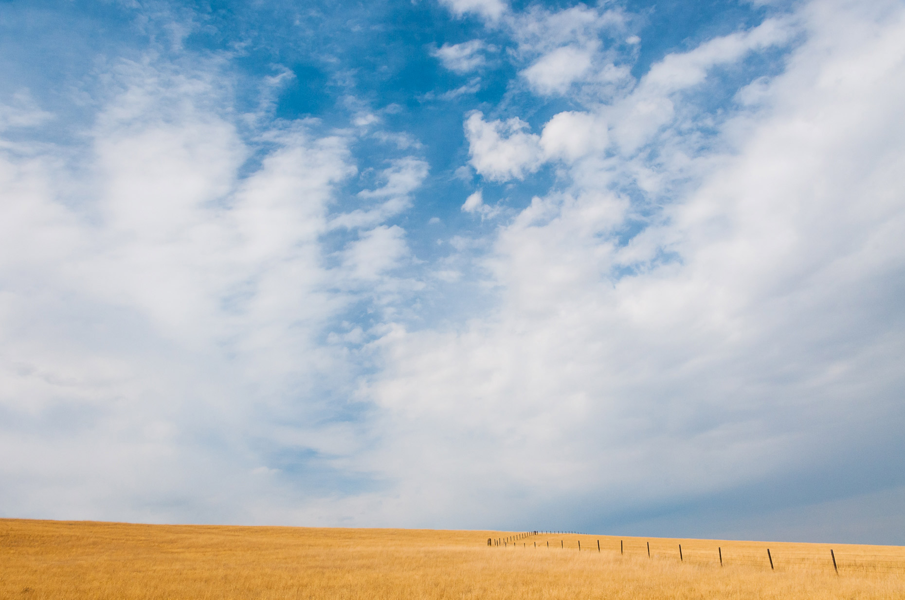 _DSC8016-_WEB.jpg